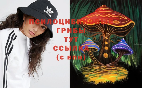 экстази Баксан
