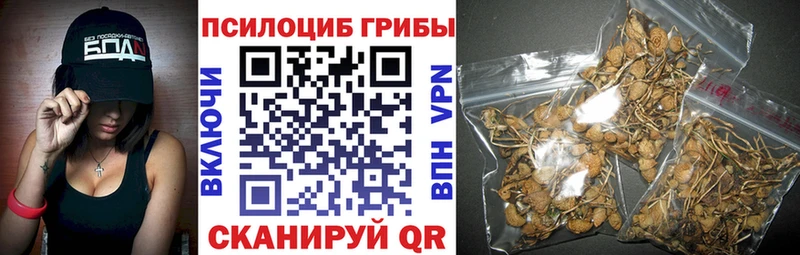 Псилоцибиновые грибы ЛСД  дарк нет Telegram  Петровск  купить  цена 